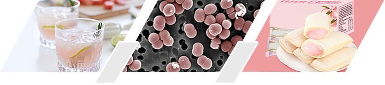Efficacy-and-Application-Pediococcus-pentosaceus